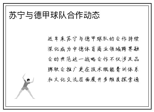 苏宁与德甲球队合作动态