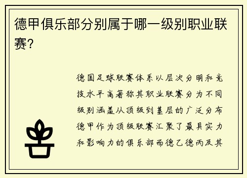 德甲俱乐部分别属于哪一级别职业联赛？